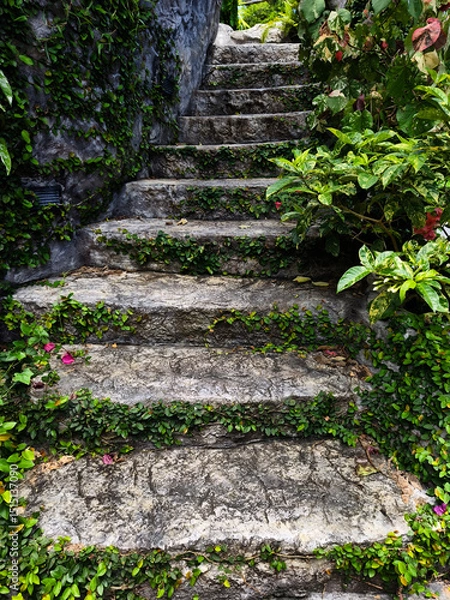 Fototapeta Stone staircase in a beautifully designed garden by an array of vibrant plants and colorful flowers