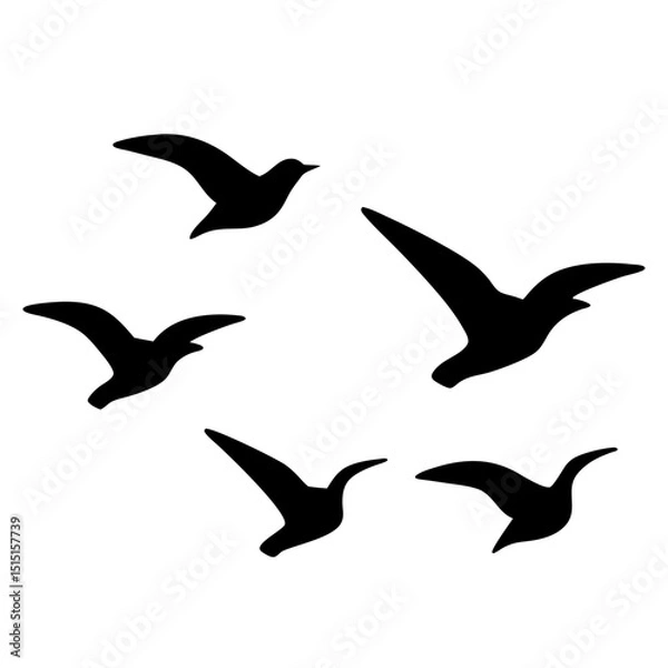 Obraz Five Birds in Flight in Silhouette Against a White Background Scene