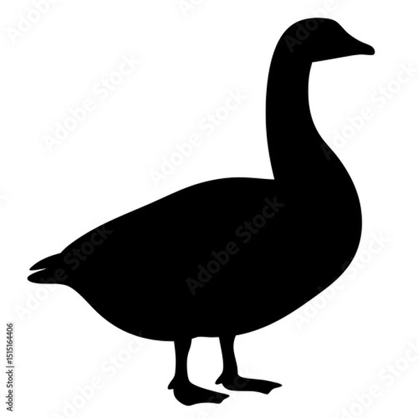 Obraz Silhouette of a majestic goose standing gracefully on white background image