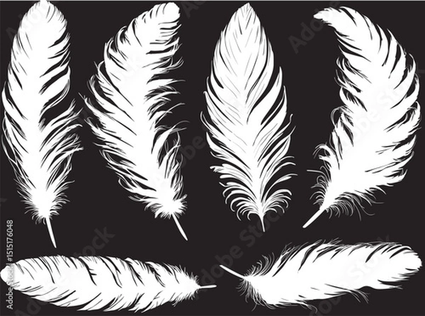 Obraz six fluffy medium silhouettes of feathers isolated on black