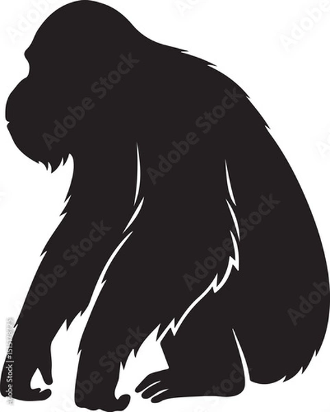 Fototapeta sumatran orogotan vector