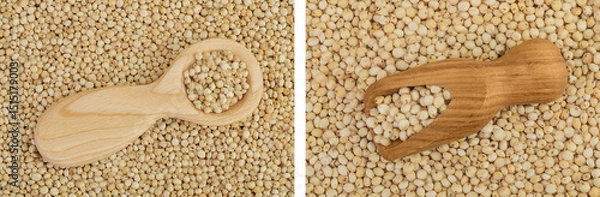 Fototapeta background of sorghum seeds with wooden spoon. Top view. Flat lay.