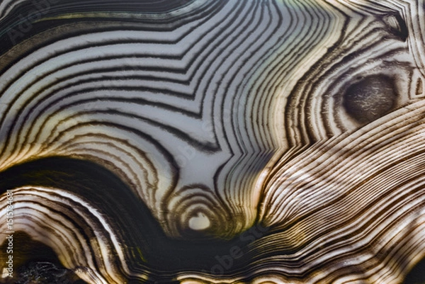 Obraz contrast agate from white and dark brown lines