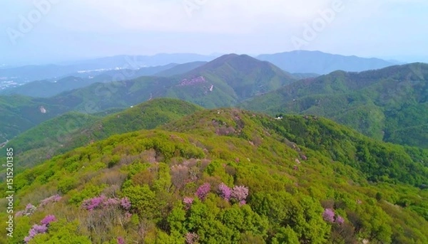 Fototapeta Spring Mountain Aerial View.