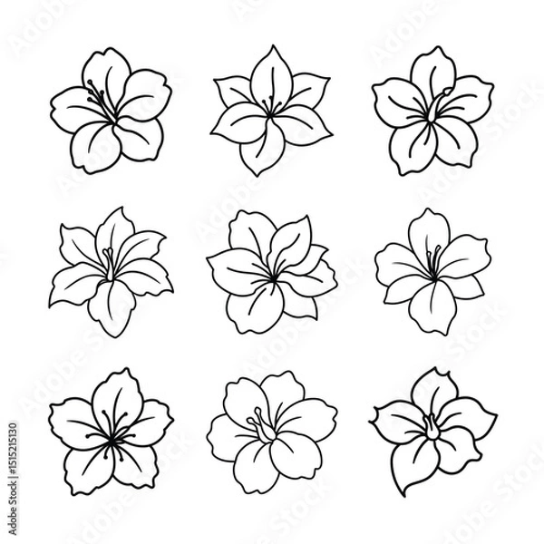 Obraz Hibiscus Flower Line Art Vector Set Collection