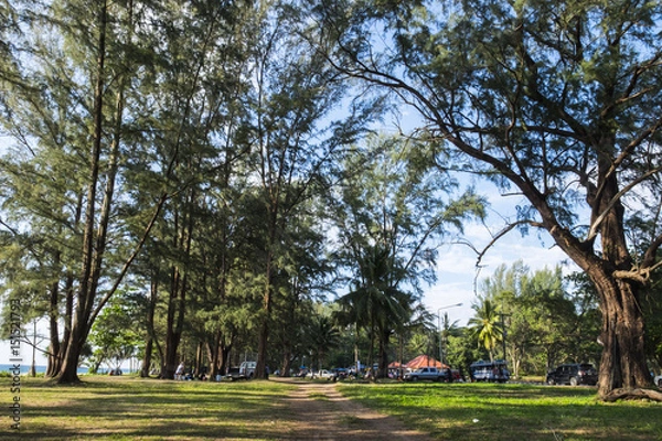 Fototapeta the wood in Phuket 