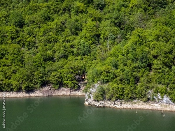 Obraz river in the forest