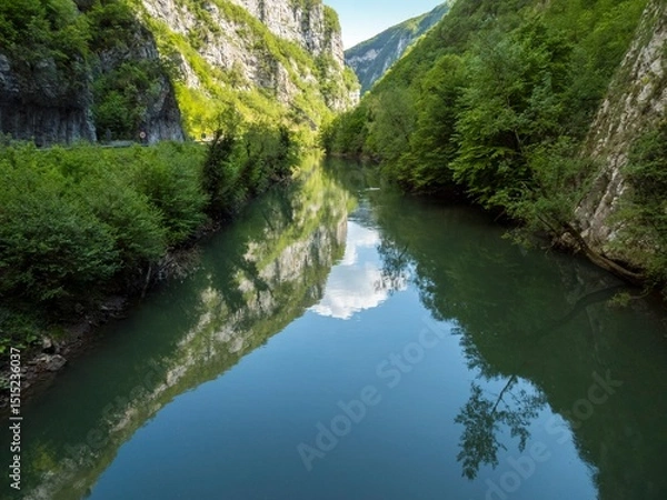 Obraz vrbas river