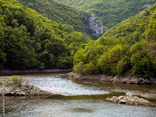 Obraz vrbas river