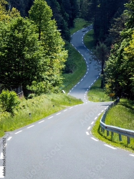 Obraz road