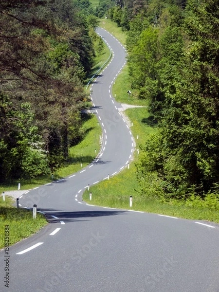 Obraz road