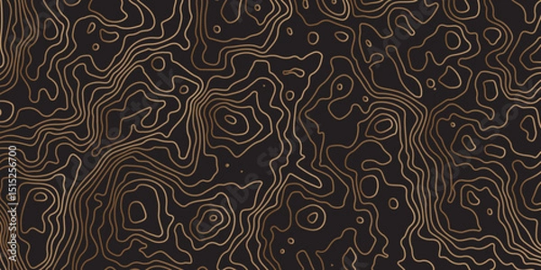 Obraz "Luxury topographic terrain map background with golden shape lines texture. Abstract line art background vector.  Retro topographic map. Design illustration for wall art, fabric, packaging"