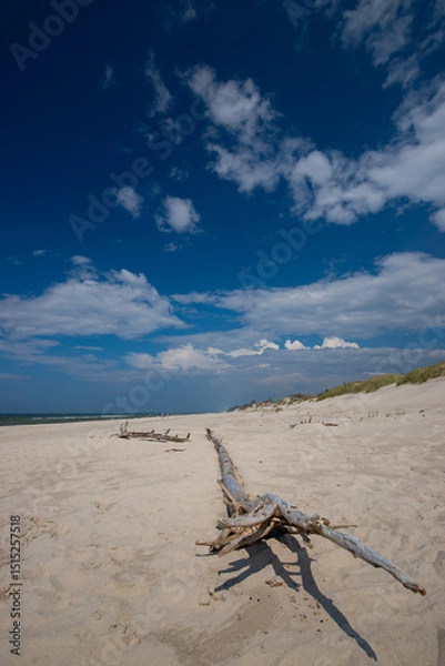 Fototapeta Krajobraz morski, linia brzegowa na plaży, tapeta, wakacje i wypoczynek nad morzem, Morze Bałtyckie, niebieskie niebo i piaszczysta plaża