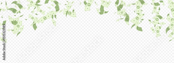 Obraz dollar_fly_transparent_panoramic_40.eps