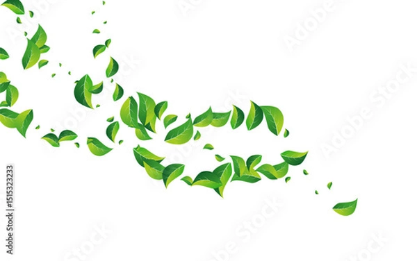 Obraz Green_Leaves_white_background_645.eps
