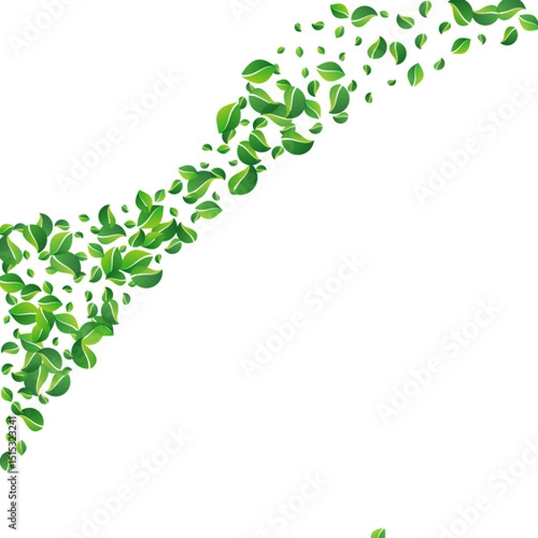 Obraz Green_Leaves_white_background_1239.eps