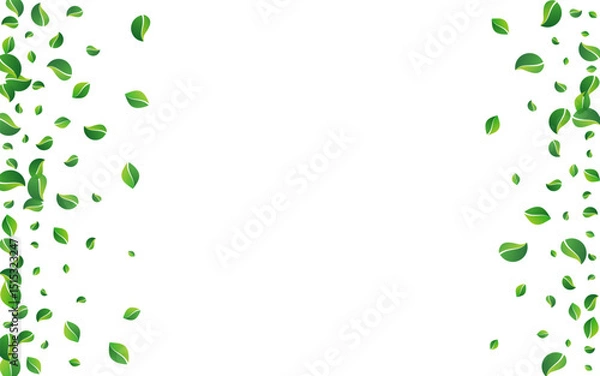 Obraz Green_Leaves_white_background_687.eps