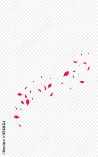 Obraz Pink_Petal_Flying_Vector_Transparent_1342.eps
