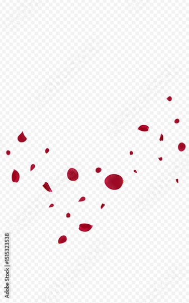 Obraz Red_Rose_Petal_Transparent_Background_84.eps