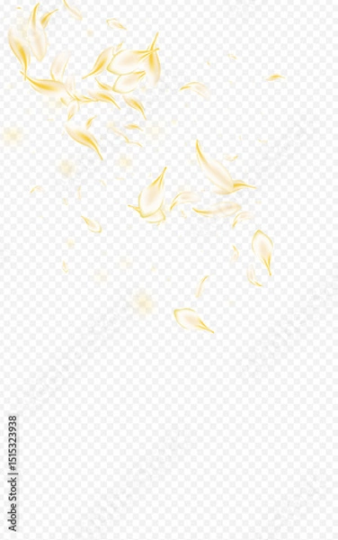 Obraz Yellow_petals_transparent_background_983.eps
