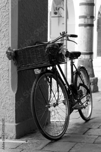 Obraz Vintage Bicycle