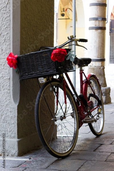 Obraz Vintage Bicycle