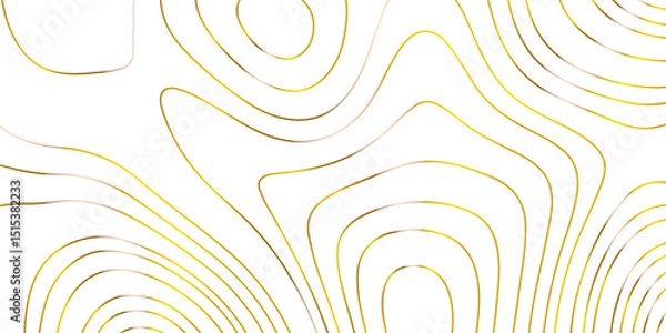 Fototapeta Abstract topographic map contour, white background and colorful wave lines pattern texture. geographic contour map grid backdrop paper texture. terrain path isolated on a background.