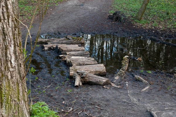 Fototapeta A large muddy puddle covers a forest path in spring. Several logs lie across the puddle, forming a makeshift bridge to cross. The logs are unfastened and rest directly in the water. 