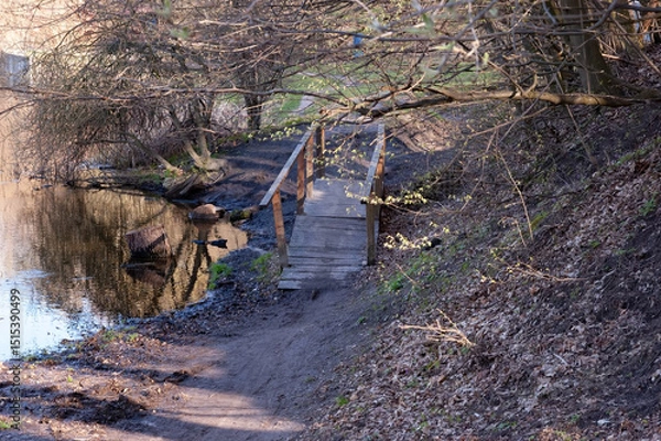 Fototapeta A small arched wooden footbridge made of planks spans a muddy stream flowing down a forested slope into a lake. On the left, the lake and a shoreline; on the right, a steep hill covered with trees. 