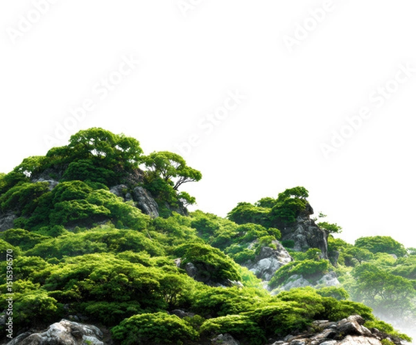 Obraz Lush green hills surrounded by rocky terrain and fog in nature