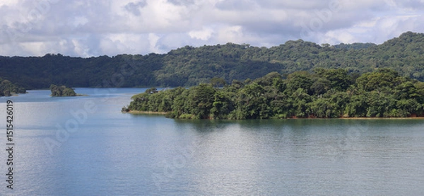 Obraz Lush jungle greenery of islands in Panama Canal