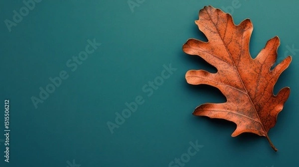 Obraz Isolated Oak Leaf on Teal Backdrop Exhibiting Autumnal Tones and Delicate Vein Structure