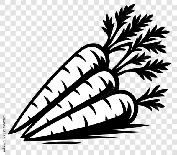 Obraz Three carrots are shown in a black and white drawing
