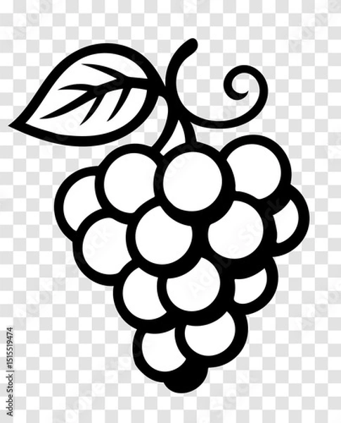 Obraz A black and white drawing of a bunch of grapes