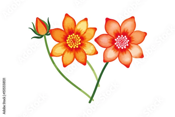 Fototapeta Watercolor Orange Flowers Illustration - Delicate Floral Painting with Buds - Botanical Art Print for Home Decor and Crafts Projects - Vibrant and Artistic Flower Design
