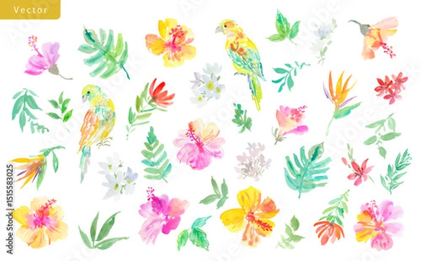 Obraz Vector illustration set of abstract watercolor hibiscus flowers, tropical plants, monstera leaves, and parrots. Hand-painted tropical botanical clipart set with exotic plants and bird for summer.