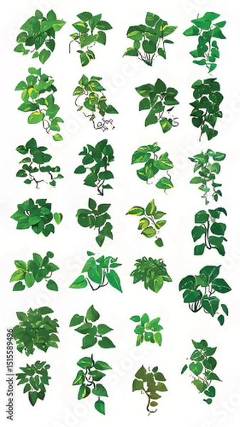 Obraz Vibrant Green Leaves: Botanical Illustration of Tropical Houseplants in Lush Arrangements for Eco-Friendly and Sustainable Decor
