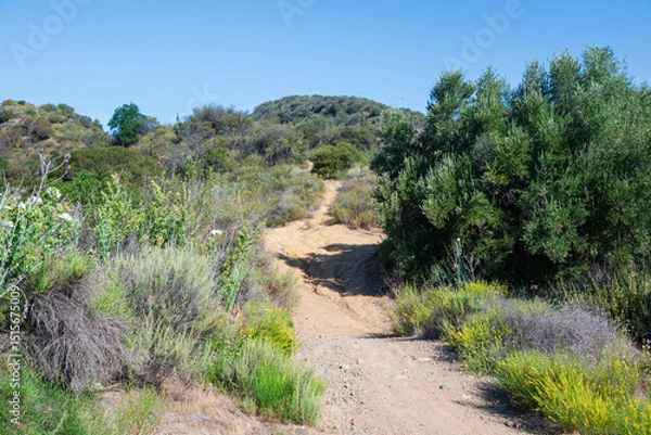 Obraz mountain road in the mountains