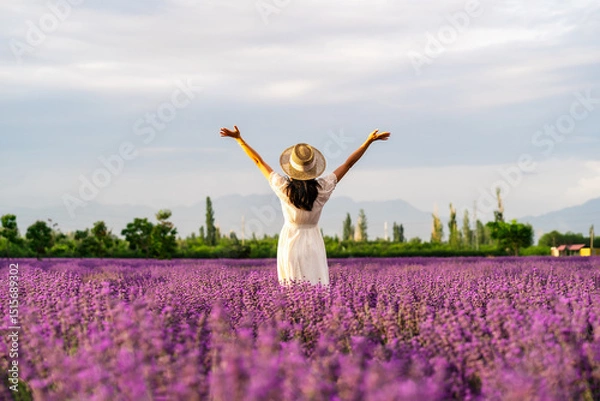 Fototapeta Young woman relaxing and enjoying with Blooming violet fragrant lavender flower fields at sunset