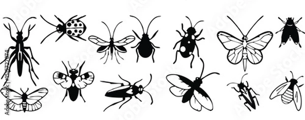 Fototapeta lack insect vector set silhouette pattern