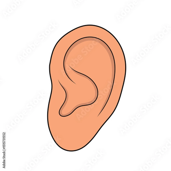 Obraz human ear  illustration