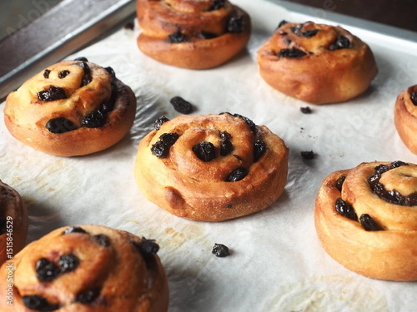 Fototapeta cinnamon and raisin bread rolls on baking tray