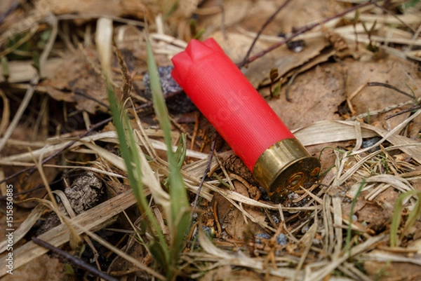 Obraz Red shotgun shell resting on forest floor