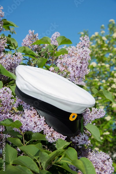 Fototapeta Swedish student cap and flower