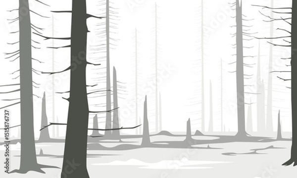 Obraz Vector Bears in winter forest landscape illustration drawing