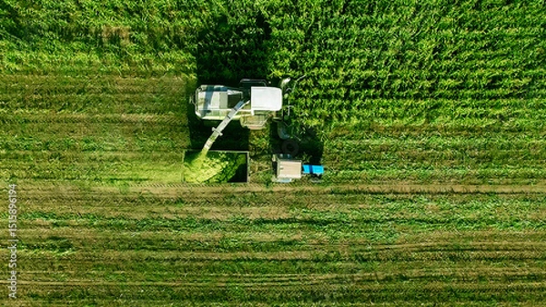 Fototapeta Aerial view of harvester loading off corn on trailers in summer day.  Large tractor is pulling a large grain silo is in the middle of a field of corn.