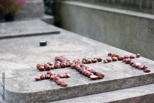 Fototapeta chestnuts
