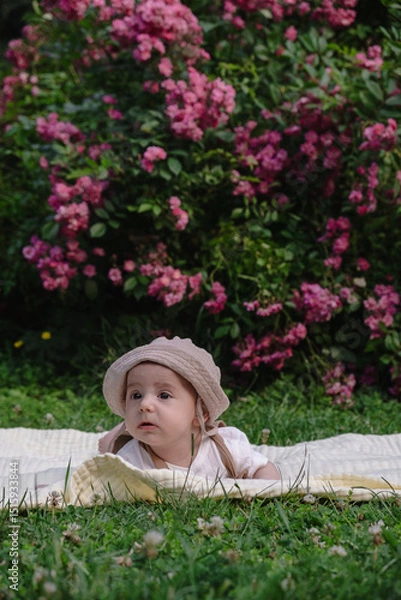 Obraz Child Lying on Blanket Surrounded by Pink Flowers