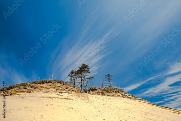 Obraz wispy white clouds over a sandhill