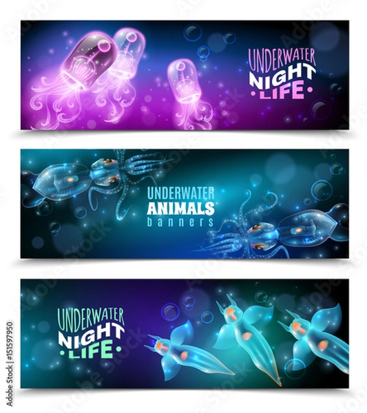 Fototapeta Underwater Colorful Horizontal Banners Set 